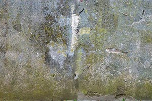 Gnoien: Feuchte Wand